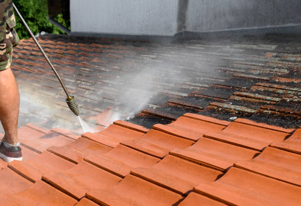 Professional Pressure Washing in Shepherd, MI