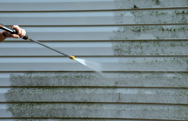 Pressure Washing Contractors in Shepherd, MI