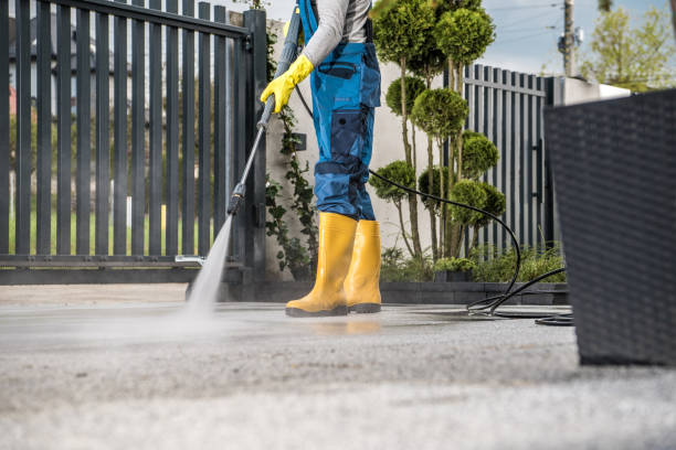 Best Affordable Power Washing  in Shepherd, MI