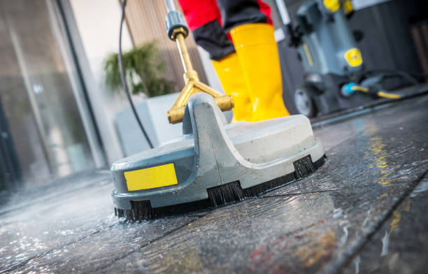 Best Local Pressure Washing Services  in Shepherd, MI