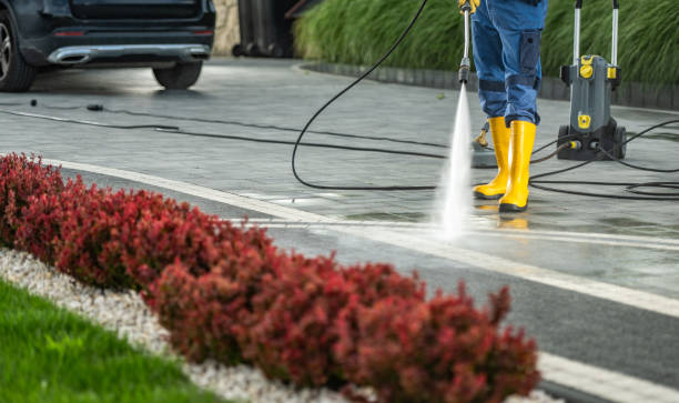 Best Exterior Home Cleaning  in Shepherd, MI