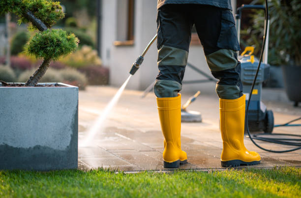 Best Fence Pressure Washing  in Shepherd, MI